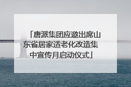 唐派集团应邀出席山东省居家适老化改造集中宣传月启动仪式