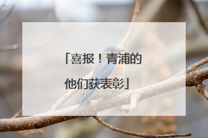 喜报！青浦的他们获表彰