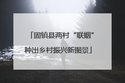 固镇县两村“联姻”种出乡村振兴新图景