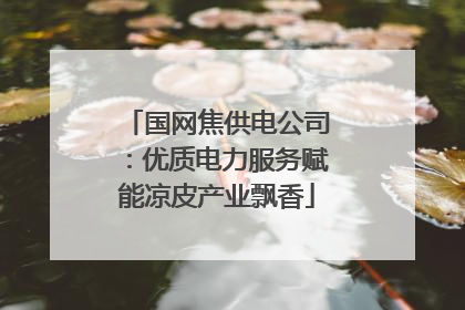 国网焦供电公司：优质电力服务赋能凉皮产业飘香