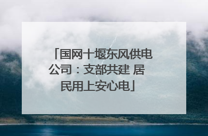 国网十堰东风供电公司：支部共建 居民用上安心电