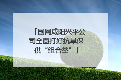 国网咸阳兴平公司全面打好抗旱保供“组合拳”
