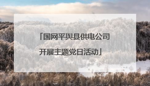 国网平舆县供电公司开展主题党日活动