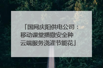 国网庆阳供电公司：移动课堂播撒安全种 云端服务浇灌节能花