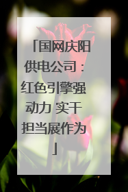 国网庆阳供电公司：红色引擎强动力 实干担当展作为