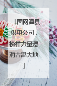 国网温县供电公司：榜样力量浸润古温大地