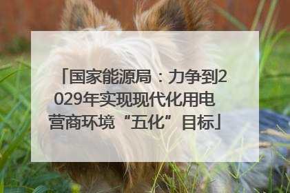 国家能源局：力争到2029年实现现代化用电营商环境“五化”目标