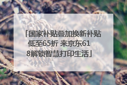 国家补贴叠加换新补贴低至65折 来京东618解锁智慧打印生活