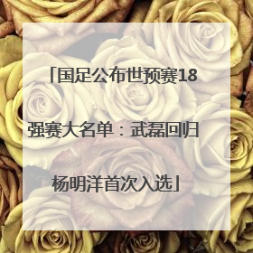 国足公布世预赛18强赛大名单：武磊回归 杨明洋首次入选