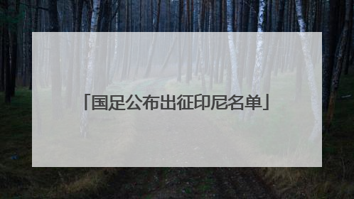 国足公布出征印尼名单