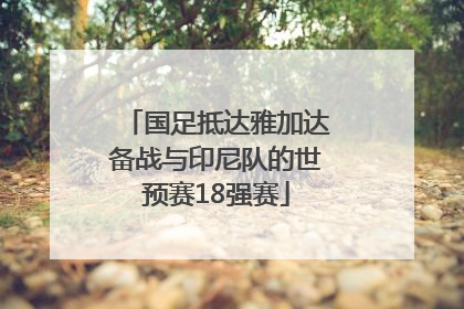 国足抵达雅加达备战与印尼队的世预赛18强赛