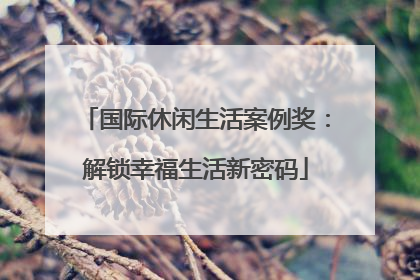 国际休闲生活案例奖：解锁幸福生活新密码
