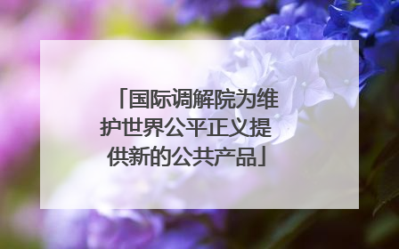 国际调解院为维护世界公平正义提供新的公共产品