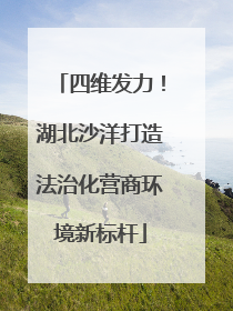 四维发力！湖北沙洋打造法治化营商环境新标杆