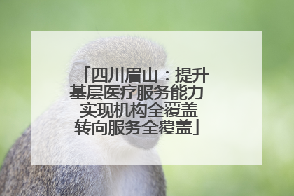 四川眉山：提升基层医疗服务能力 实现机构全覆盖转向服务全覆盖
