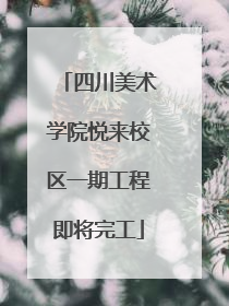 四川美术学院悦来校区一期工程即将完工