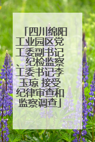 四川绵阳工业园区党工委副书记、纪检监察工委书记李玉琼 接受纪律审查和监察调查