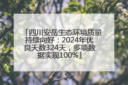 四川安岳生态环境质量持续向好：2024年优良天数324天，多项数据实现100%