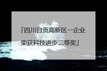 四川自贡高新区一企业荣获科技进步二等奖