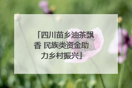 四川苗乡油茶飘香 民族类资金助力乡村振兴