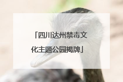 四川达州禁毒文化主题公园揭牌