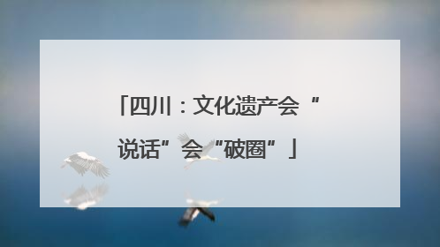 四川：文化遗产会“说话”会“破圈”