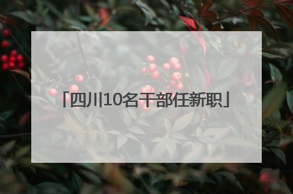 四川10名干部任新职
