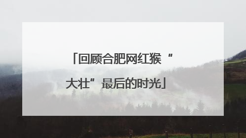 回顾合肥网红猴“大壮”最后的时光