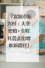 富锦市振兴村：大垄密植+全程托管走出增收新路径