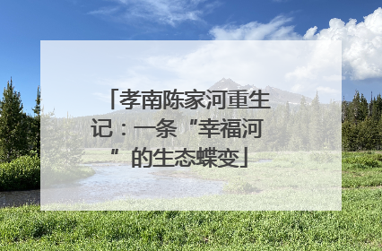 孝南陈家河重生记：一条“幸福河”的生态蝶变