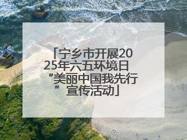宁乡市开展2025年六五环境日“美丽中国我先行”宣传活动
