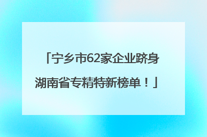 宁乡市62家企业跻身湖南省专精特新榜单！