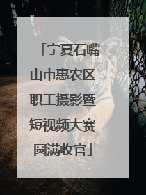 宁夏石嘴山市惠农区职工摄影暨短视频大赛圆满收官