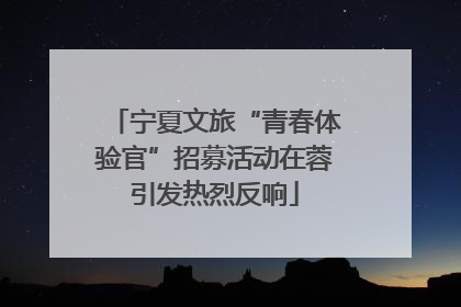 宁夏文旅“青春体验官”招募活动在蓉引发热烈反响
