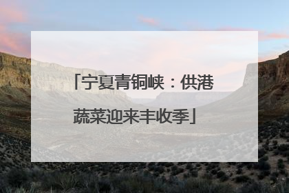 宁夏青铜峡：供港蔬菜迎来丰收季