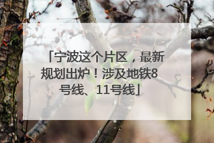 宁波这个片区，最新规划出炉！涉及地铁8号线、11号线