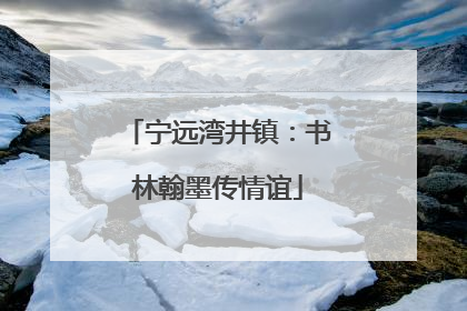 宁远湾井镇：书林翰墨传情谊