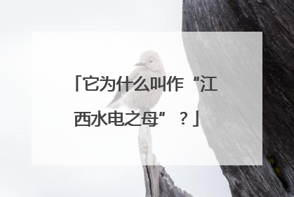 它为什么叫作“江西水电之母”？