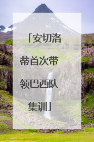 安切洛蒂首次带领巴西队集训
