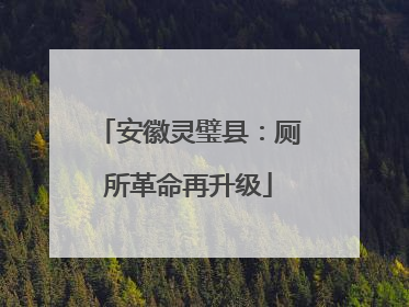 安徽灵璧县：厕所革命再升级
