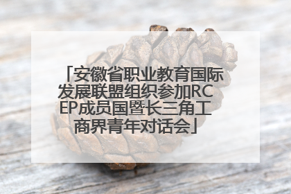安徽省职业教育国际发展联盟组织参加RCEP成员国暨长三角工商界青年对话会