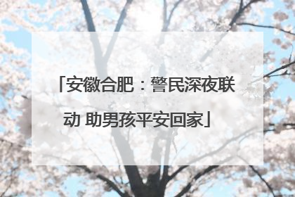 安徽合肥：警民深夜联动 助男孩平安回家