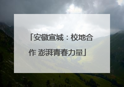 安徽宣城：校地合作 澎湃青春力量