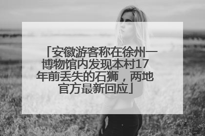 安徽游客称在徐州一博物馆内发现本村17年前丢失的石狮，两地官方最新回应