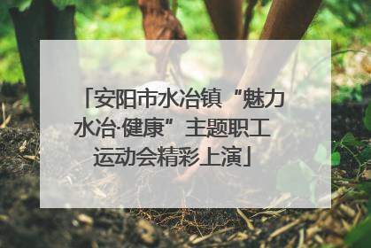 安阳市水冶镇“魅力水冶·健康”主题职工运动会精彩上演