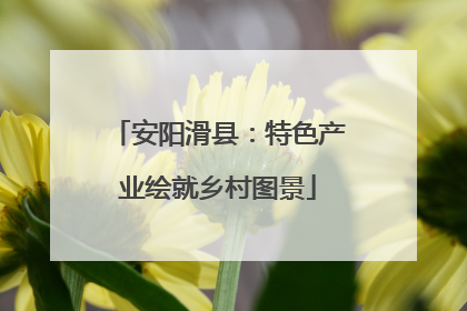 安阳滑县：特色产业绘就乡村图景