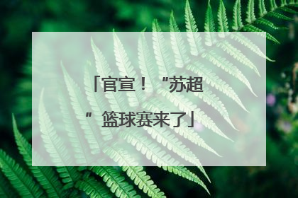 官宣！“苏超”篮球赛来了