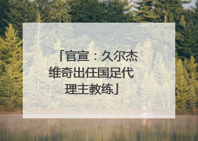 官宣：久尔杰维奇出任国足代理主教练