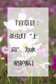 宜章县：杀虫灯“上岗” 为水稻护航