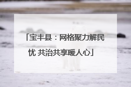 宝丰县：网格聚力解民忧 共治共享暖人心